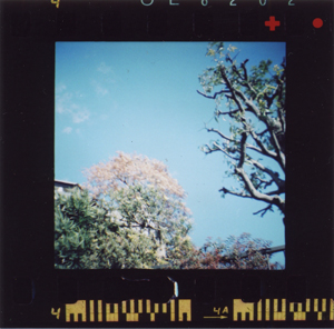 img001.jpg