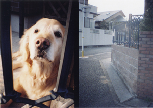 img004.jpg